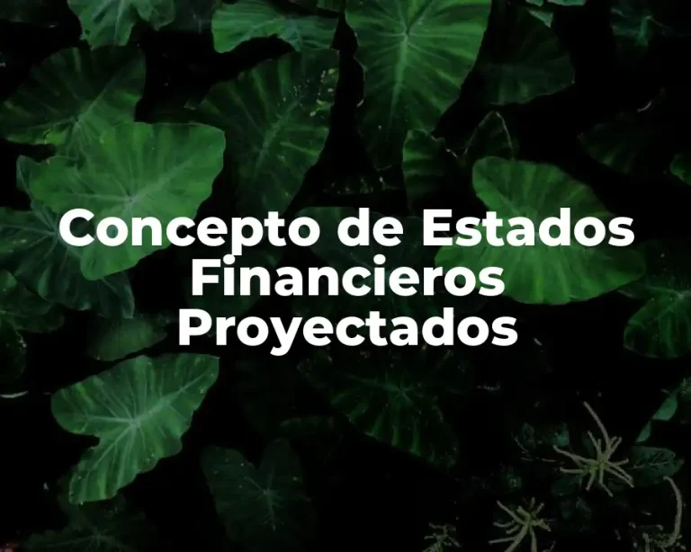 Concepto de Estados Financieros Proyectados