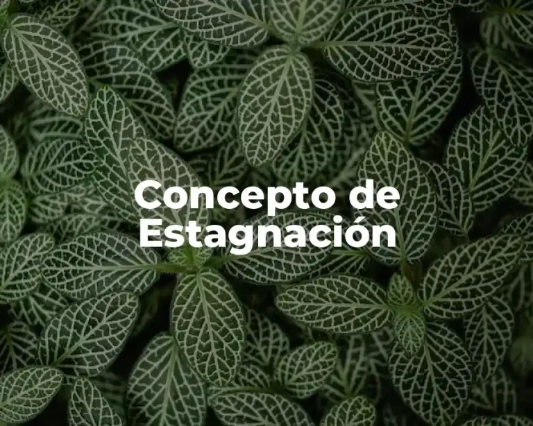 Concepto de Estagnación
