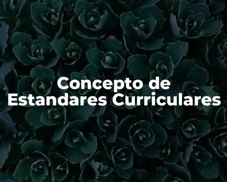 Concepto de Estandares Curriculares