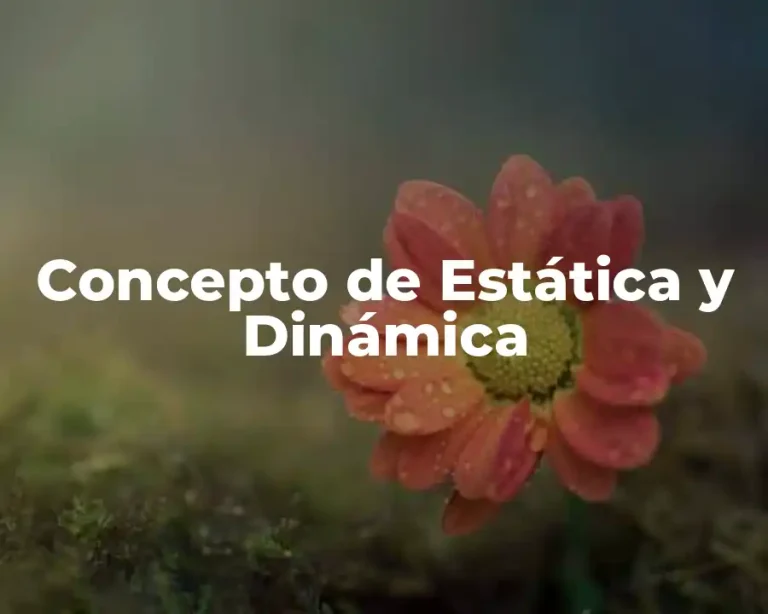 Concepto de Estática y Dinámica