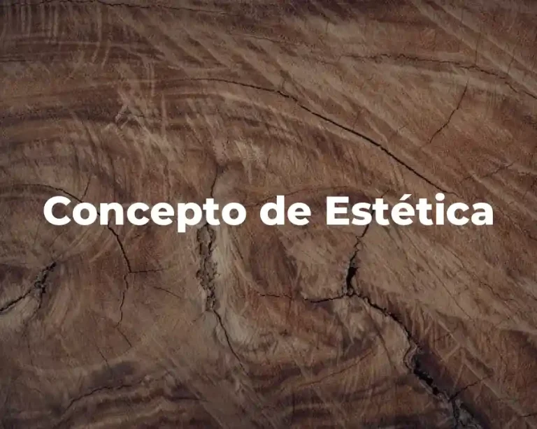 Concepto de Estética