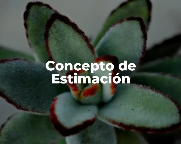 Concepto de Estimación