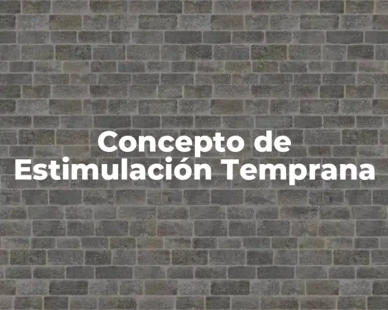 Concepto de Estimulación Temprana