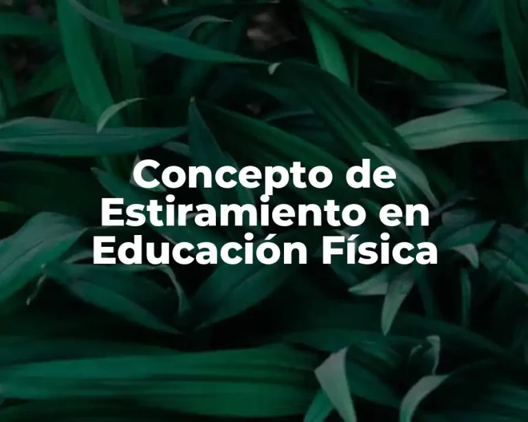 Concepto de Estiramiento en Educación Física