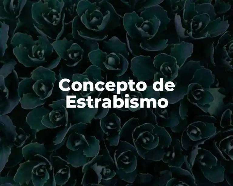 Concepto de Estrabismo