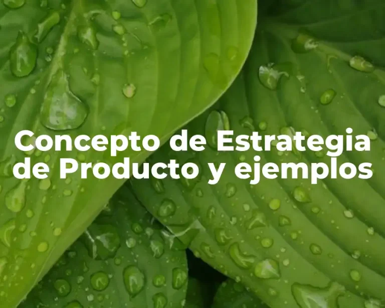 Concepto de Estrategia de Producto y ejemplos