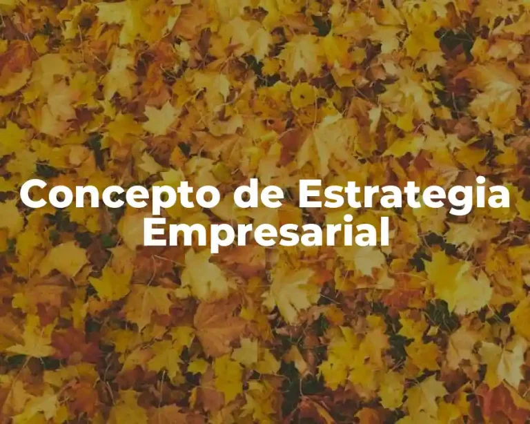 Concepto de Estrategia Empresarial