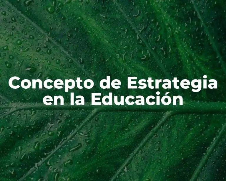 Concepto de Estrategia en la Educación