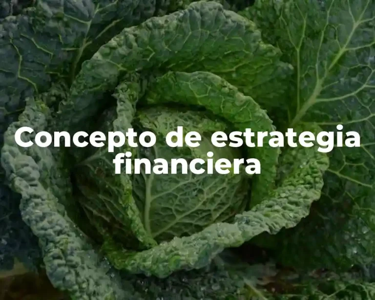 Concepto de estrategia financiera