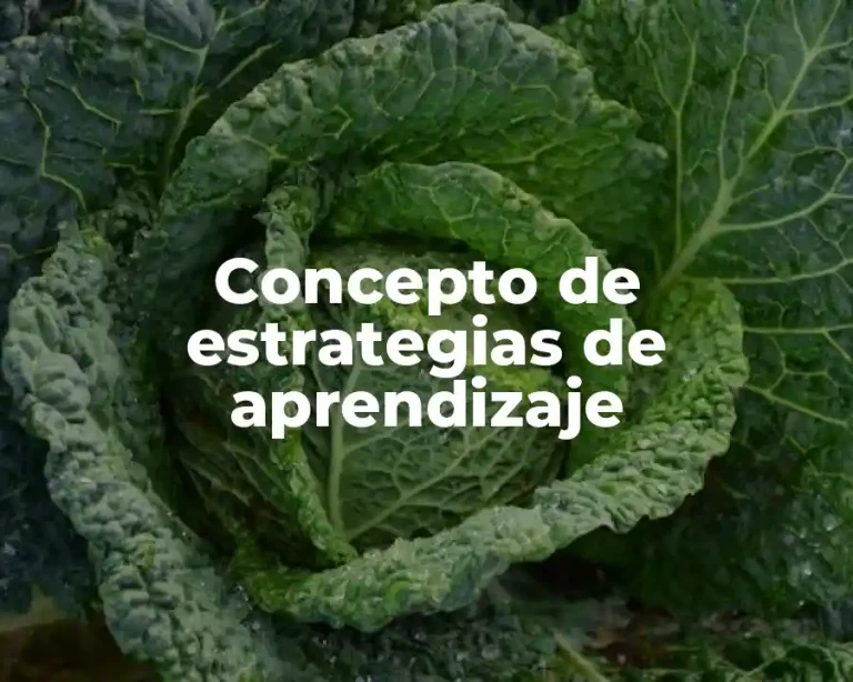Concepto de estrategias de aprendizaje