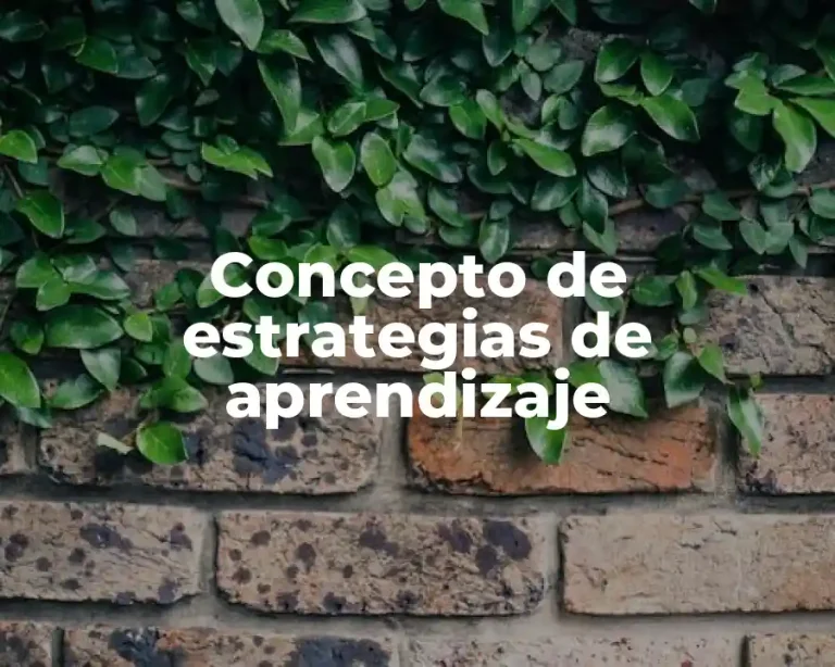 Concepto de estrategias de aprendizaje