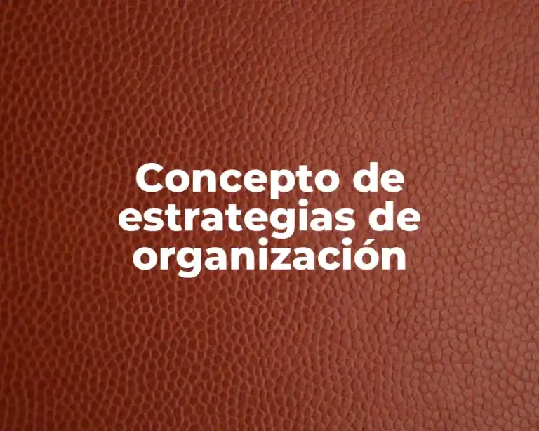 Concepto de estrategias de organización
