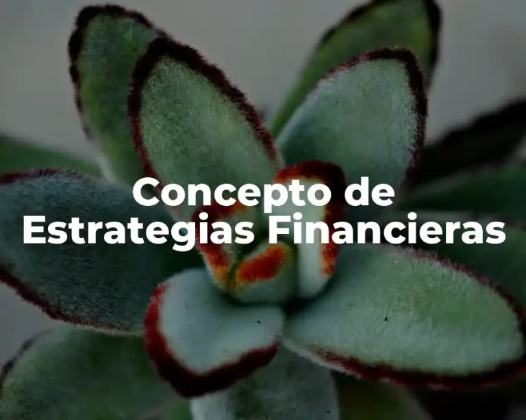 Concepto de Estrategias Financieras