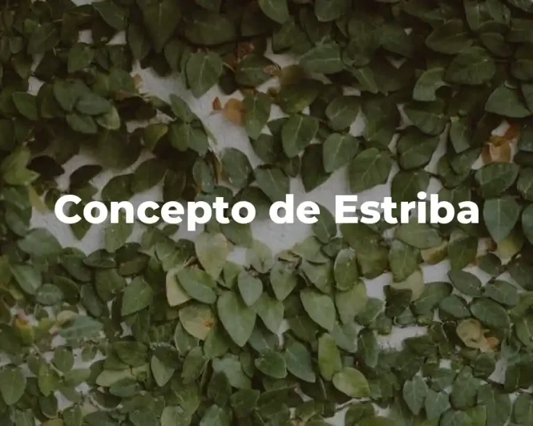 Concepto de Estriba