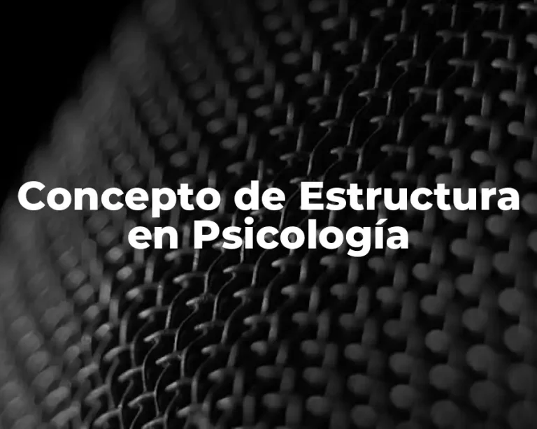 Concepto de Estructura en Psicología