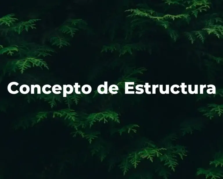 Concepto de Estructura
