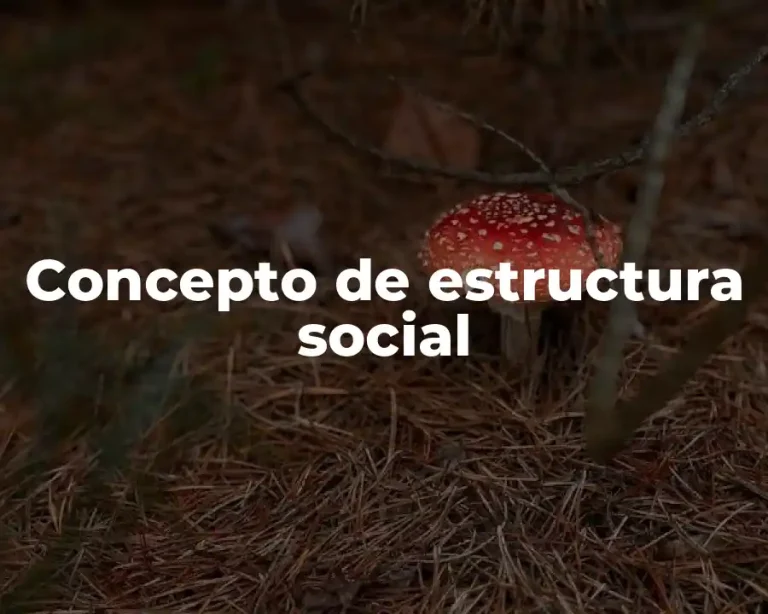 Concepto de estructura social