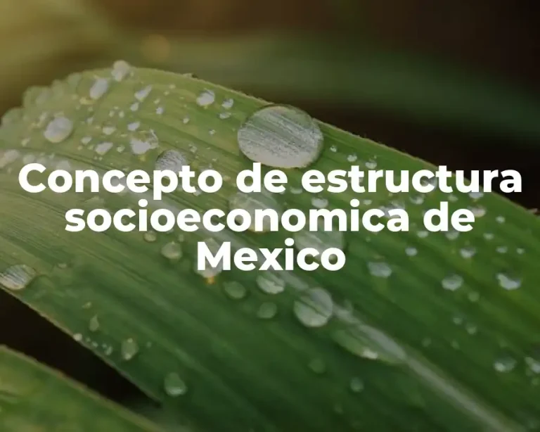 Concepto de estructura socioeconomica de Mexico