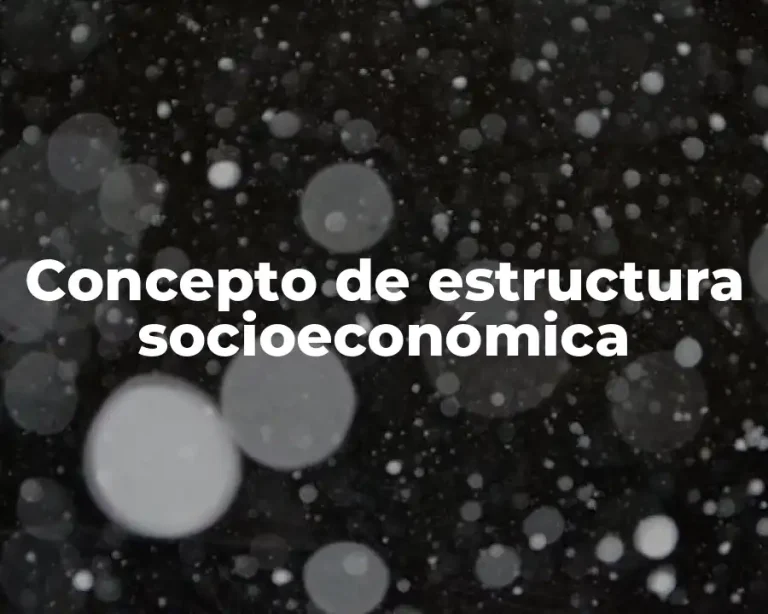 Concepto de estructura socioeconómica