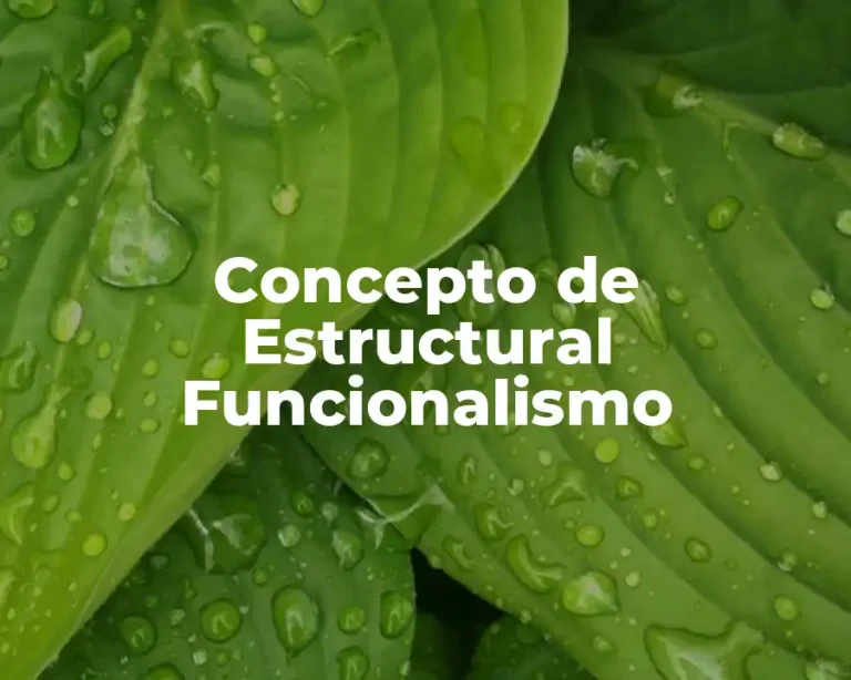 Concepto de Estructural Funcionalismo