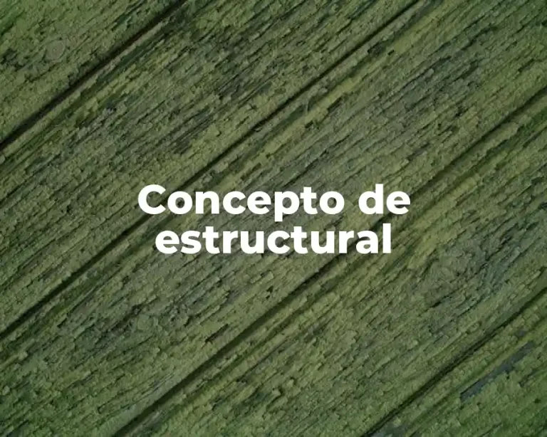 Concepto de estructural