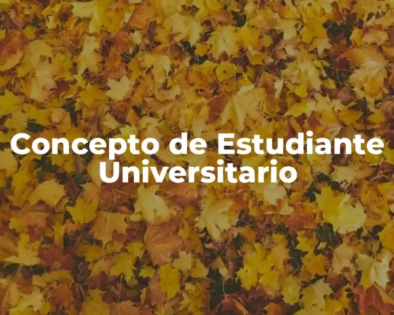 Concepto de Estudiante Universitario