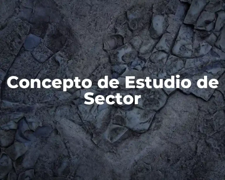 Concepto de Estudio de Sector