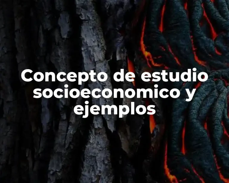 Concepto de estudio socioeconomico y ejemplos