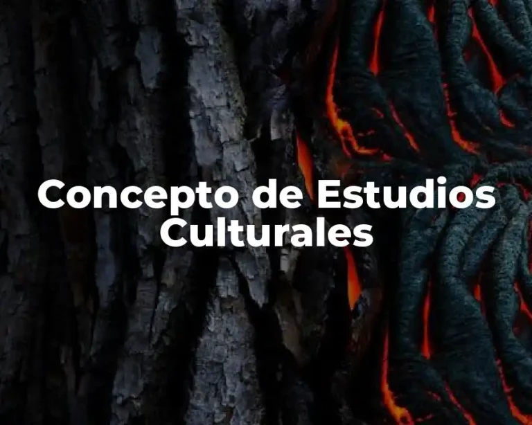 Concepto de Estudios Culturales