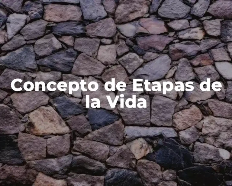 Concepto de Etapas de la Vida
