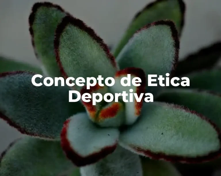 Concepto de Etica Deportiva