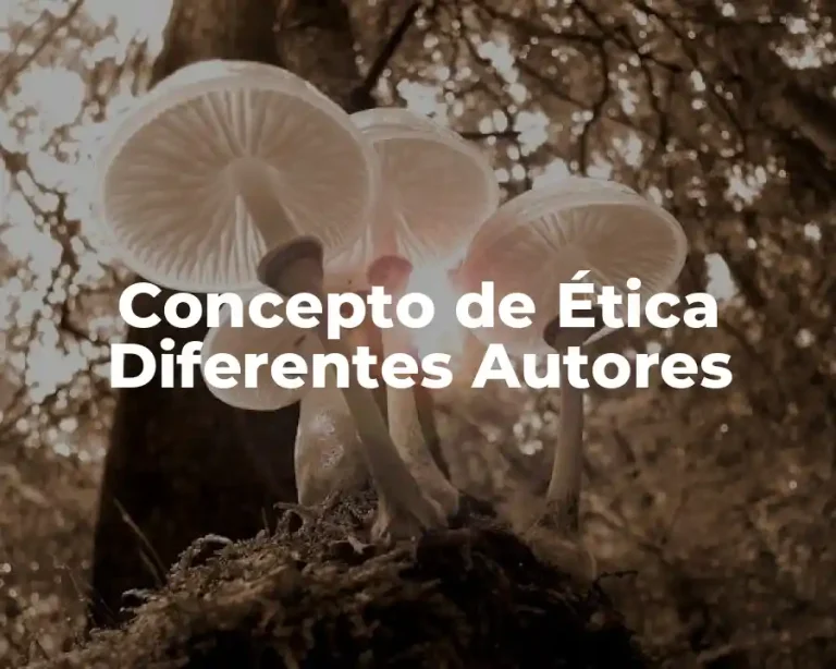 Concepto de Ética Diferentes Autores