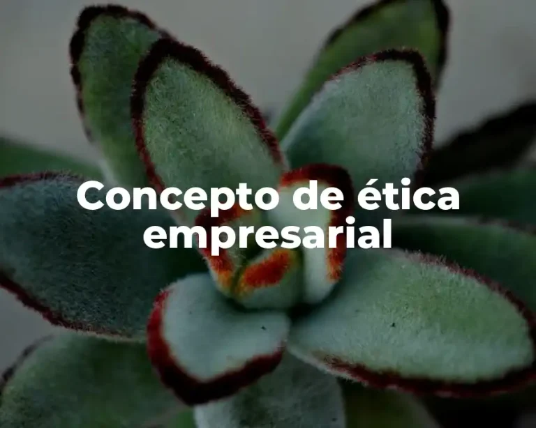 Concepto de ética empresarial