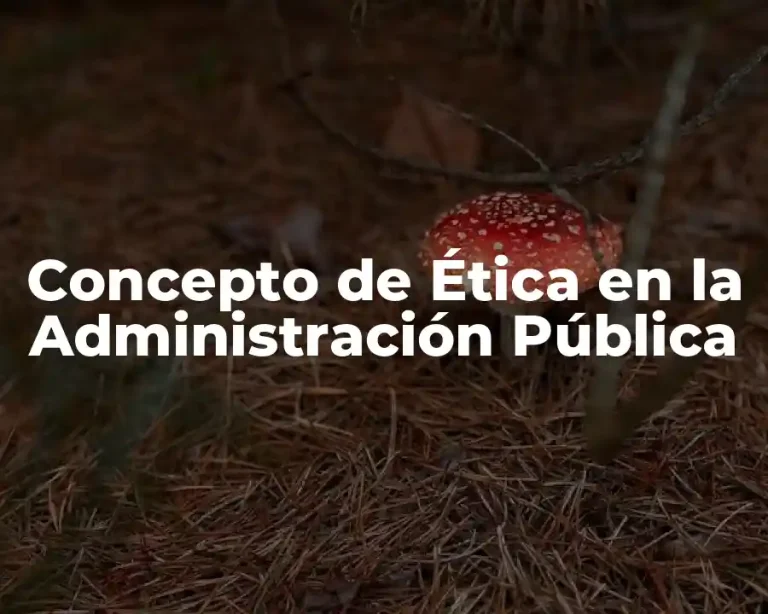 Concepto de Ética en la Administración Pública