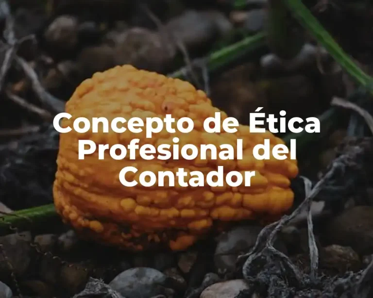 Concepto de Ética Profesional del Contador