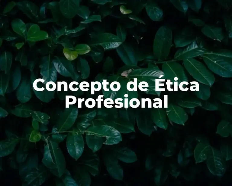 Concepto de Ética Profesional