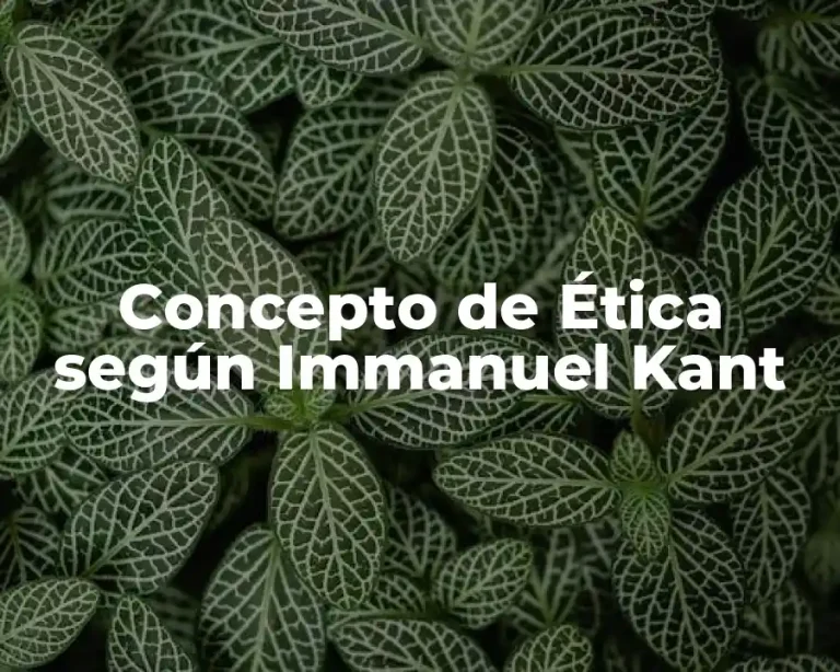 Concepto de Ética según Immanuel Kant