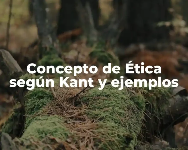 Concepto de Ética según Kant y ejemplos