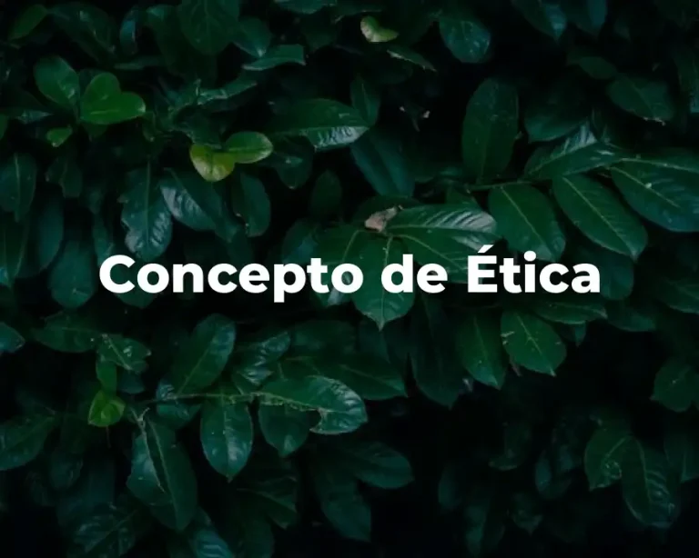 Concepto de Ética