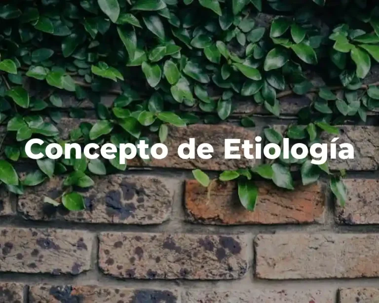 Concepto de Etiología