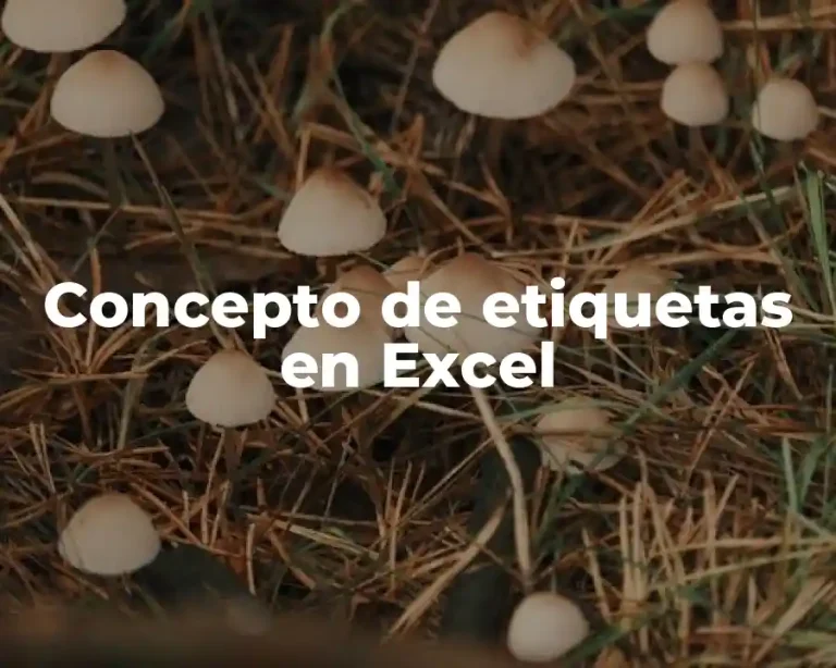 Concepto de etiquetas en Excel