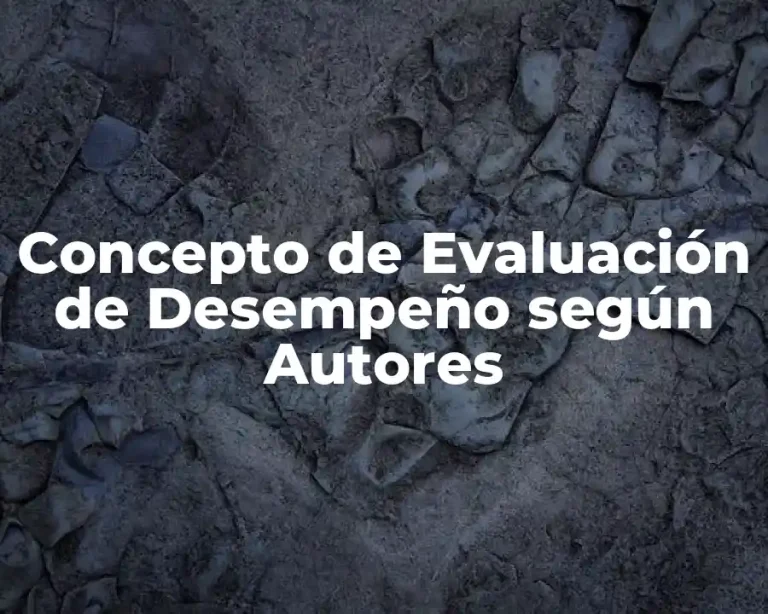 Concepto de Evaluación de Desempeño según Autores
