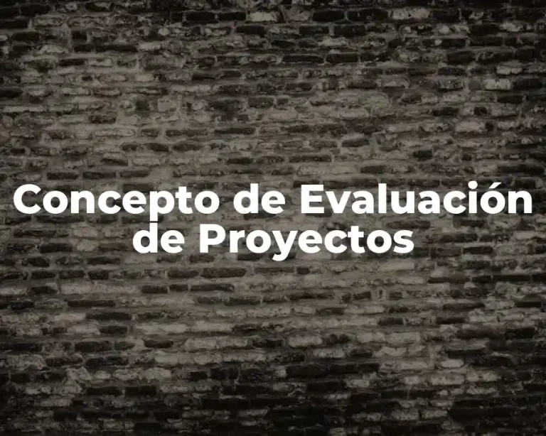 Concepto de Evaluación de Proyectos