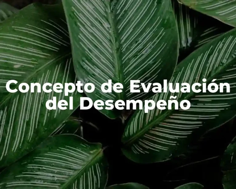 Concepto de Evaluación del Desempeño