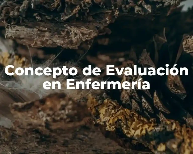 Concepto de Evaluación en Enfermería