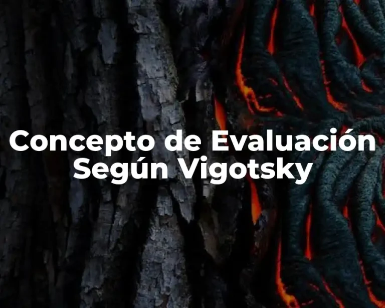 Concepto de Evaluación Según Vigotsky