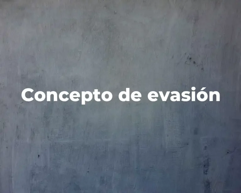 Concepto de evasión