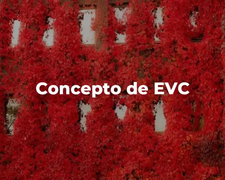 Concepto de EVC