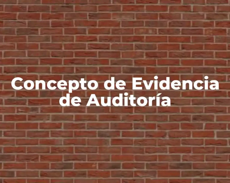 Concepto de Evidencia de Auditoría