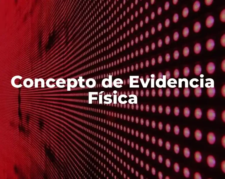 Concepto de Evidencia Física